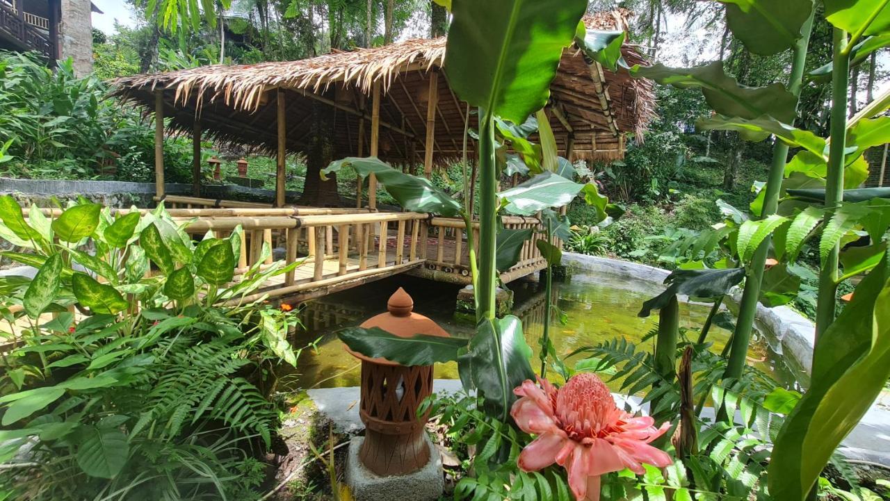 Rimba Eco Resort Tomohon 外观 照片